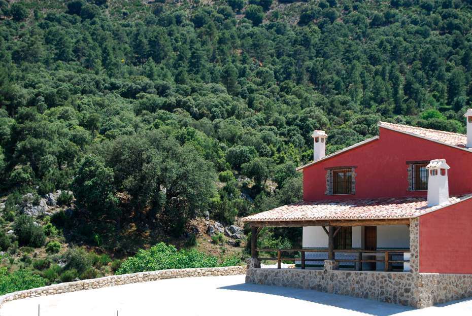 CORTIJO EL SAPILLO